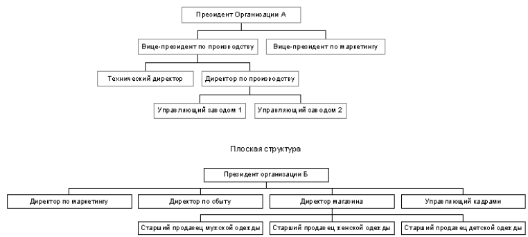 Рис. 2. Многоуровневая и плоская структура организации