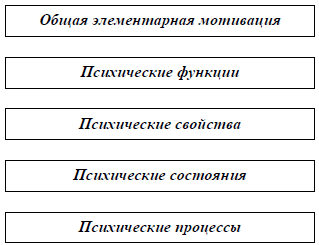 Рис. 1. Схема структуры личности Б.Г.Ананьева