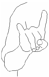 Рис. 5. Пальцы сжаты в кулак, повернутый ладонью вниз, указательный палец и мизинец выпрямлены по направлению к собеседнику