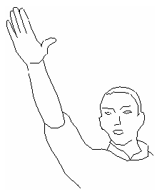 Рис. 6. Поднятая вверх правая рука со сложенными пальцами