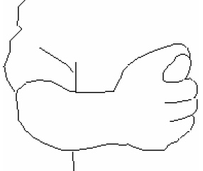 Рис. 8. Пальцы сжаты в кулак, между указательным и безымянным расположен большой палец, направленный к собеседнику