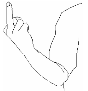Рис. 9. Пальцы сжаты в кулак, безымянный палец выпрямлен вверх