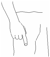Рис. 12. Пальцы сжаты в кулак, указательный палец выпрямлен, рука опущена вниз