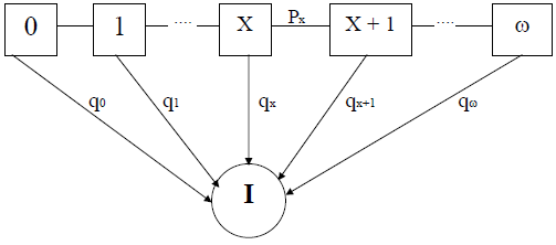 Рис.2. Диаграмма состояний простого процесса выбытия (по Г.Файхтингеру)