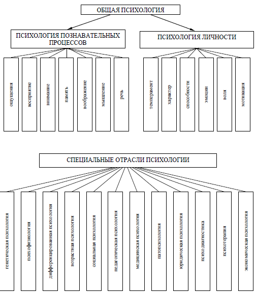 Основные отрасли (структура) современной психологии