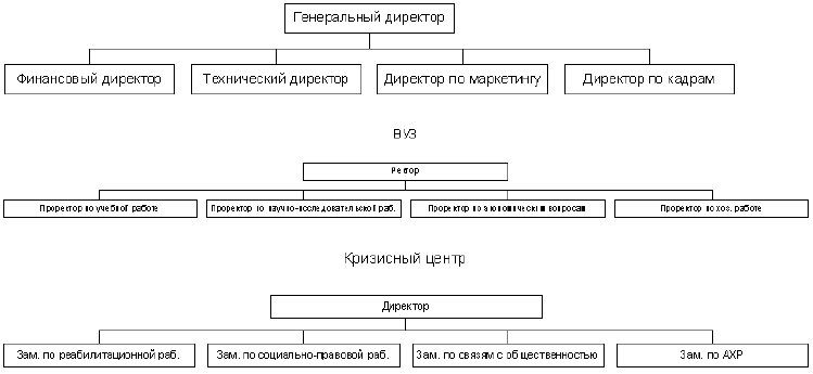Рисунок 7. Функциональная организационная структура
